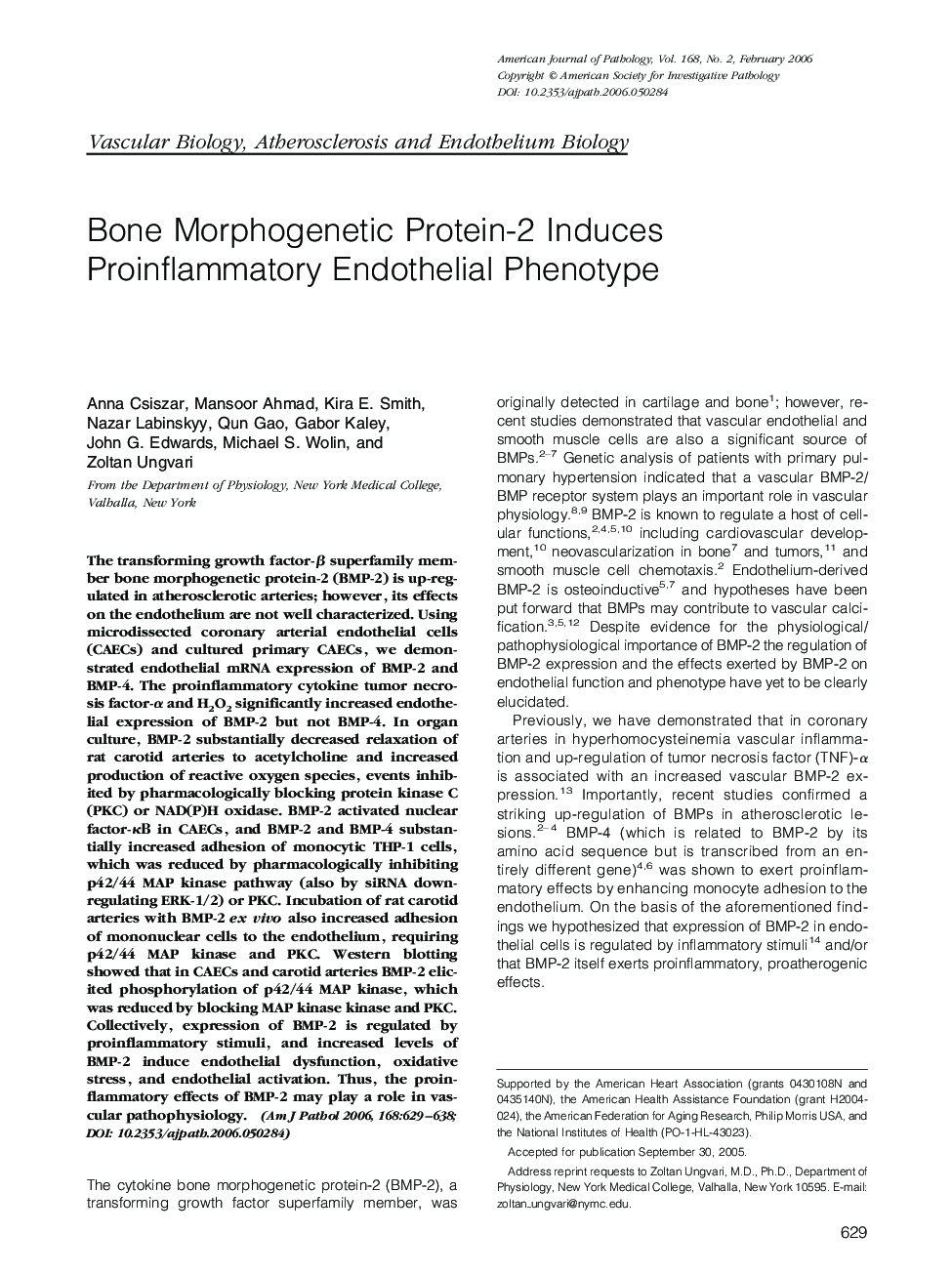 Bone Morphogenetic Protein-2 Induces Proinflammatory Endothelial Phenotype