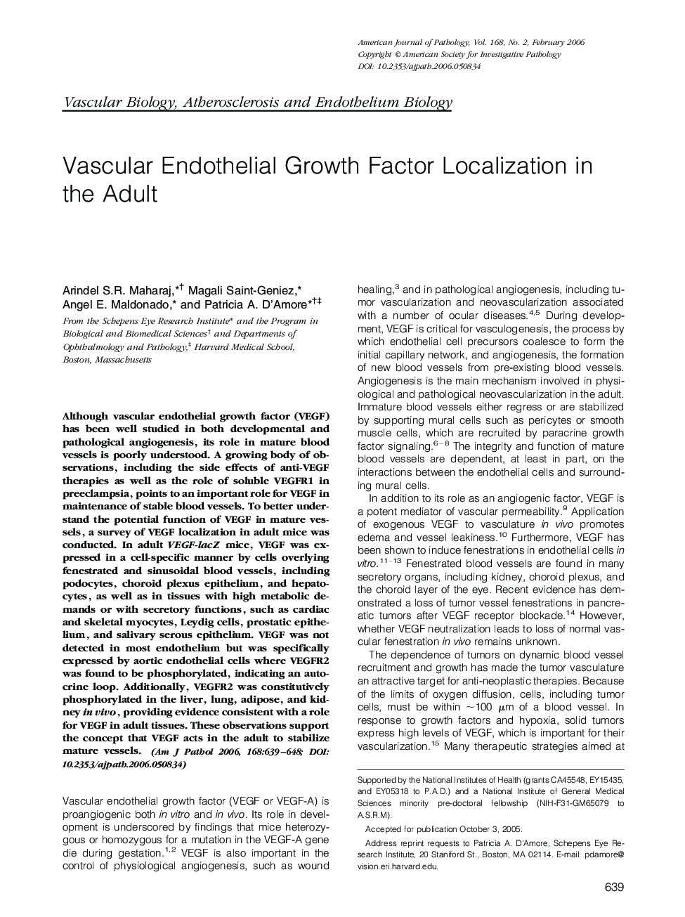 Vascular Endothelial Growth Factor Localization in the Adult