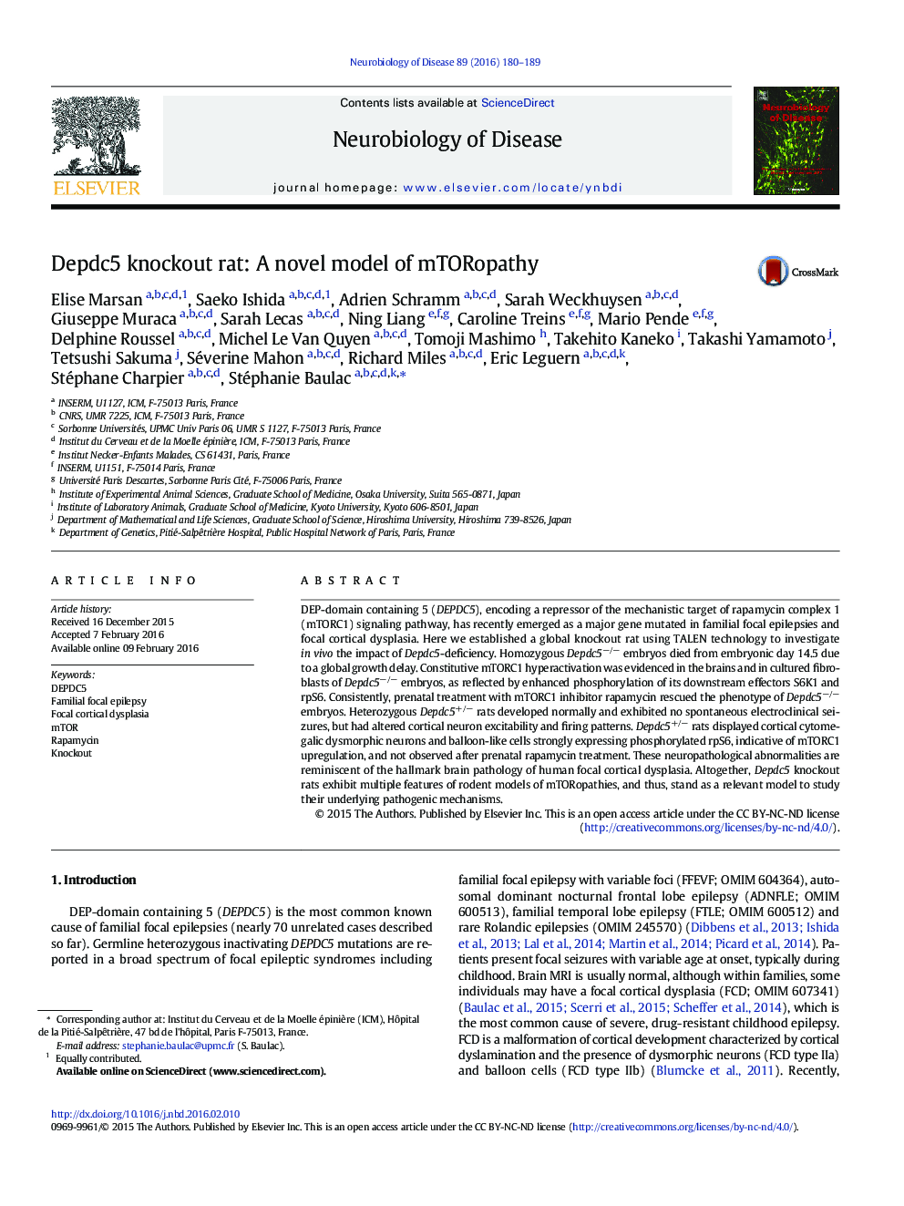 Depdc5 knockout rat: A novel model of mTORopathy