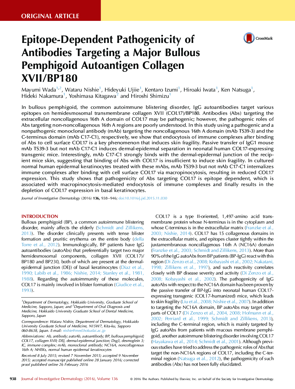Original ArticleImmunology/InfectionEpitope-Dependent Pathogenicity of Antibodies Targeting a Major Bullous Pemphigoid Autoantigen Collagen XVII/BP180