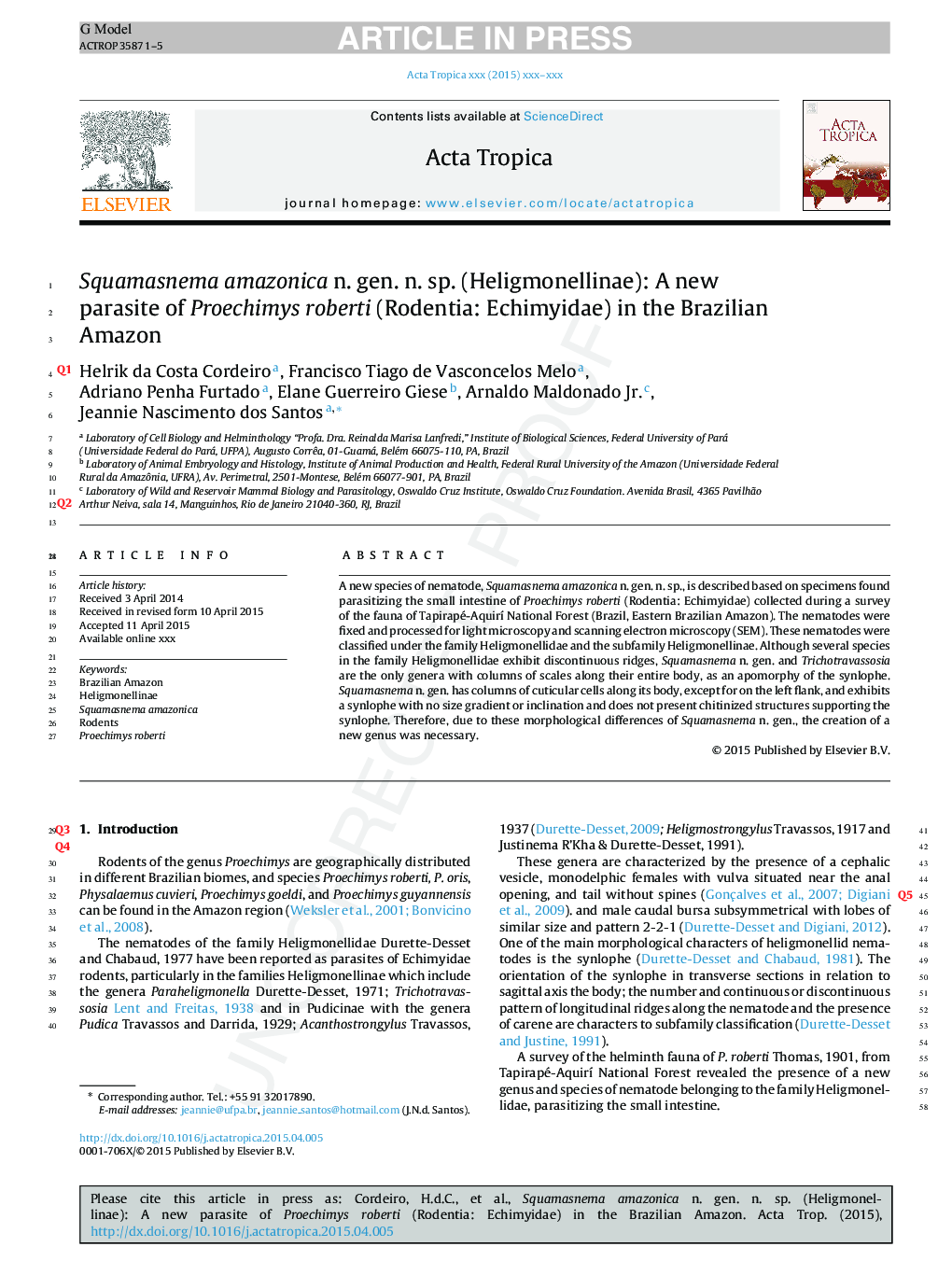 Squamasnema amazonica n. gen. n. sp. (Heligmonellinae): A new parasite of Proechimys roberti (Rodentia: Echimyidae) in the Brazilian Amazon