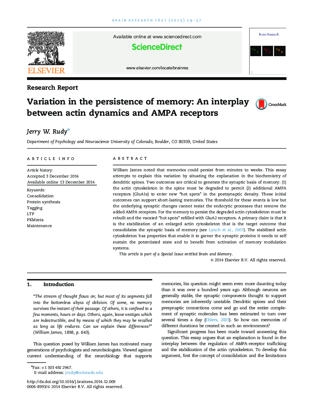 Research ReportVariation in the persistence of memory: An interplay between actin dynamics and AMPA receptors