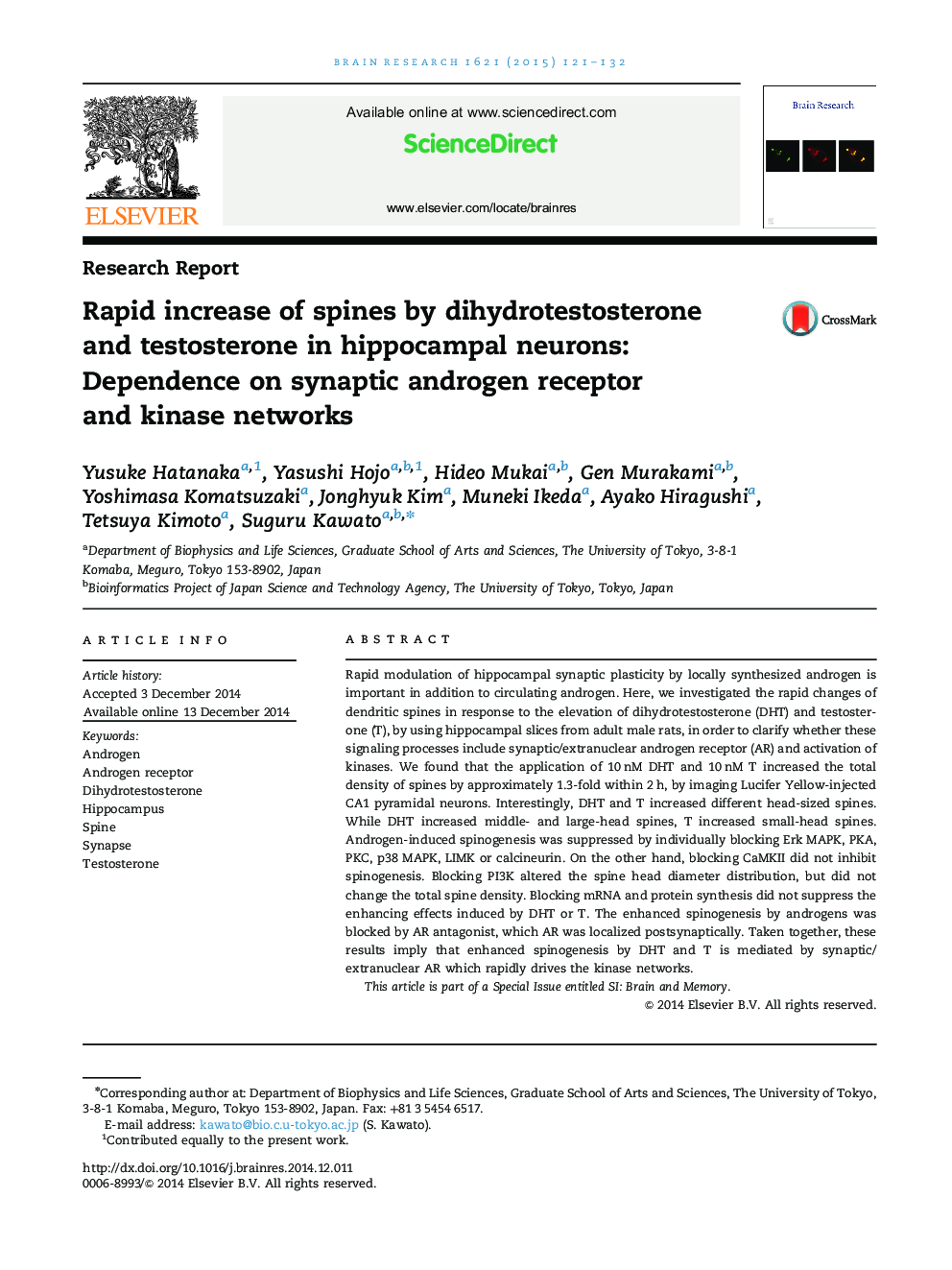 گزارش تحقیقاتی افزایش میزان اسپاین ها توسط دی هیدروتستوسترون و تستوسترون در نورون های هیپوکامپ: وابستگی به شبکه های گیرنده آندروژن سیناپسی و کیناز 