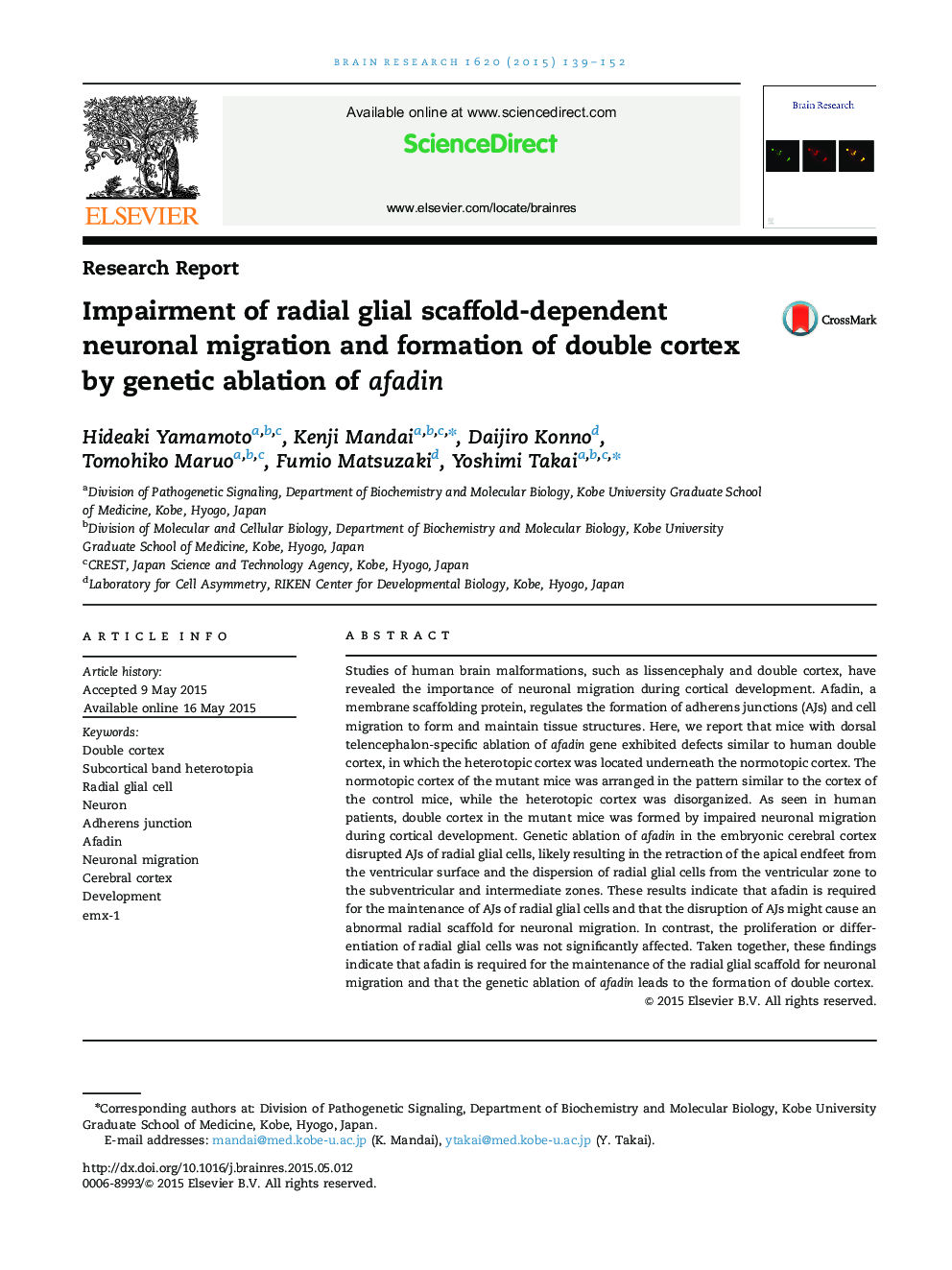 تحقیقات گزارش شده در مورد مهاجرت نورونی وابسته به داربست شعاعی گلیالی و شکل دهی قشر دوطرفه توسط تخلیه ژنتیکی افادین 