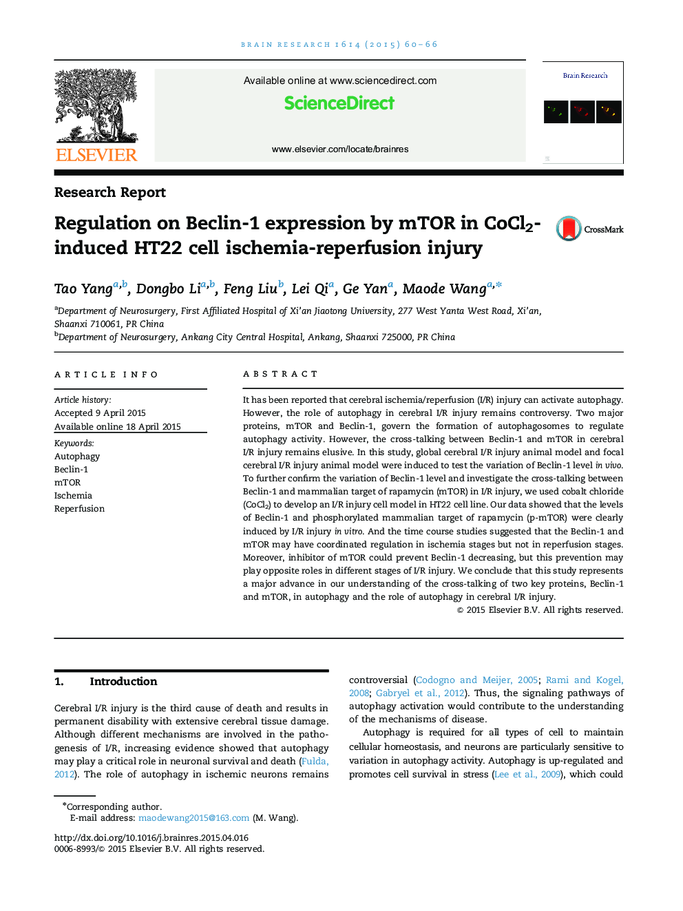Research ReportRegulation on Beclin-1 expression by mTOR in CoCl2-induced HT22 cell ischemia-reperfusion injury