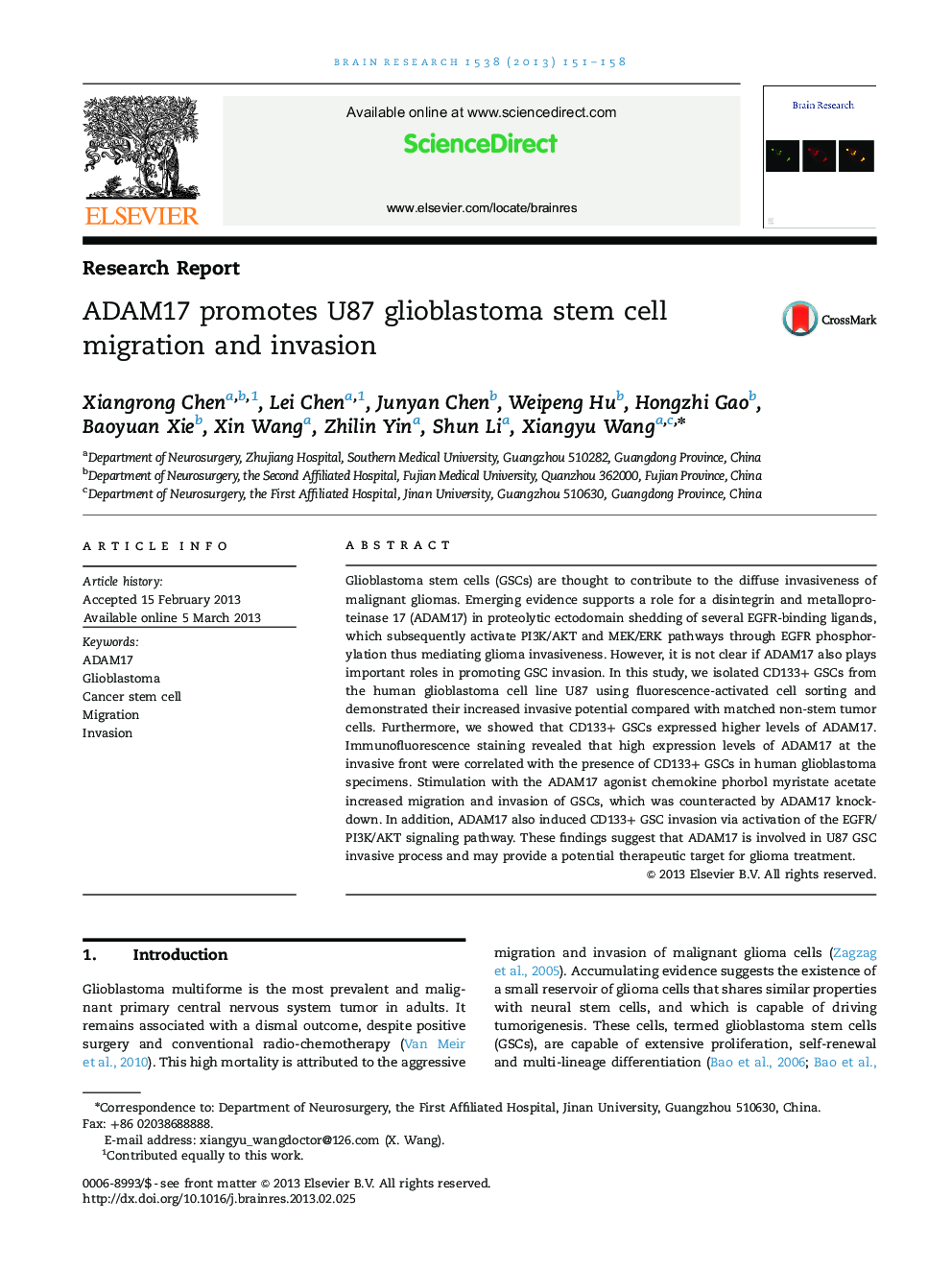 Research ReportADAM17 promotes U87 glioblastoma stem cell migration and invasion
