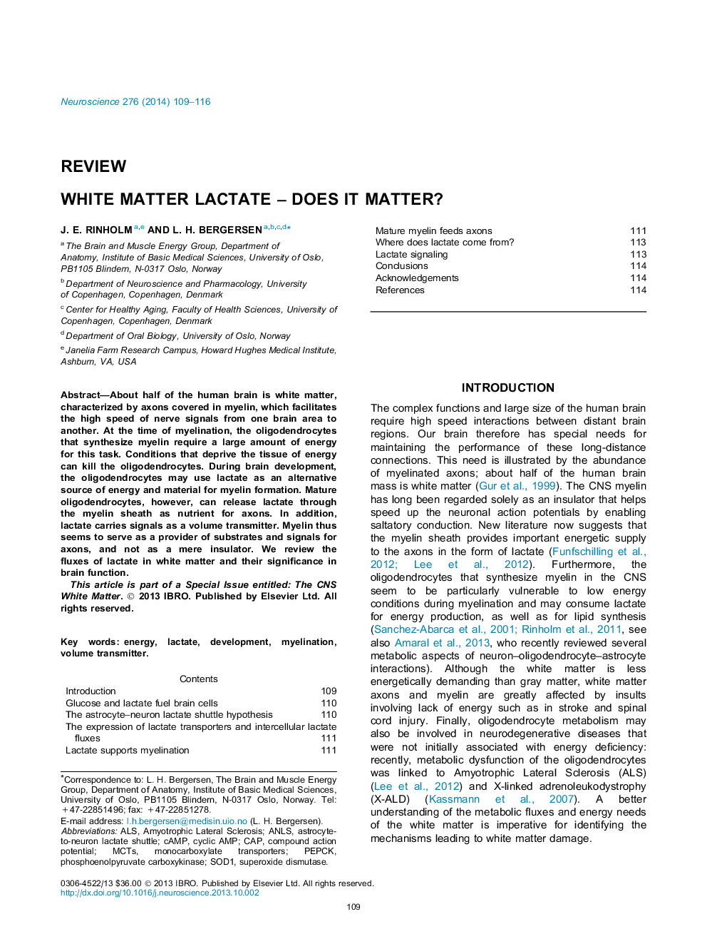 ReviewWhite matter lactate - Does it matter?
