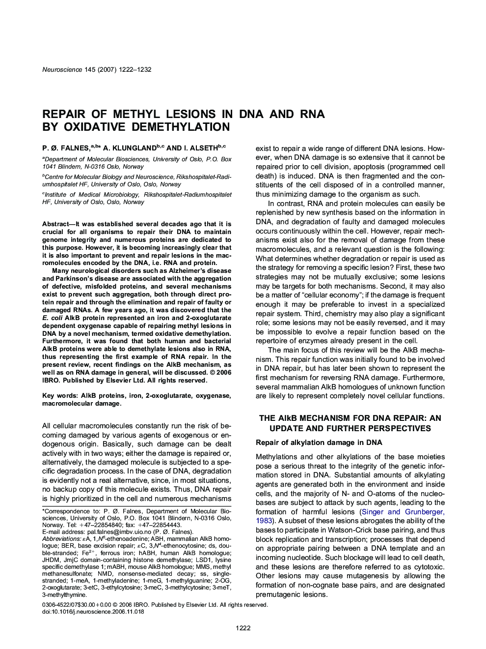 Repair of methyl lesions in DNA and RNA by oxidative demethylation