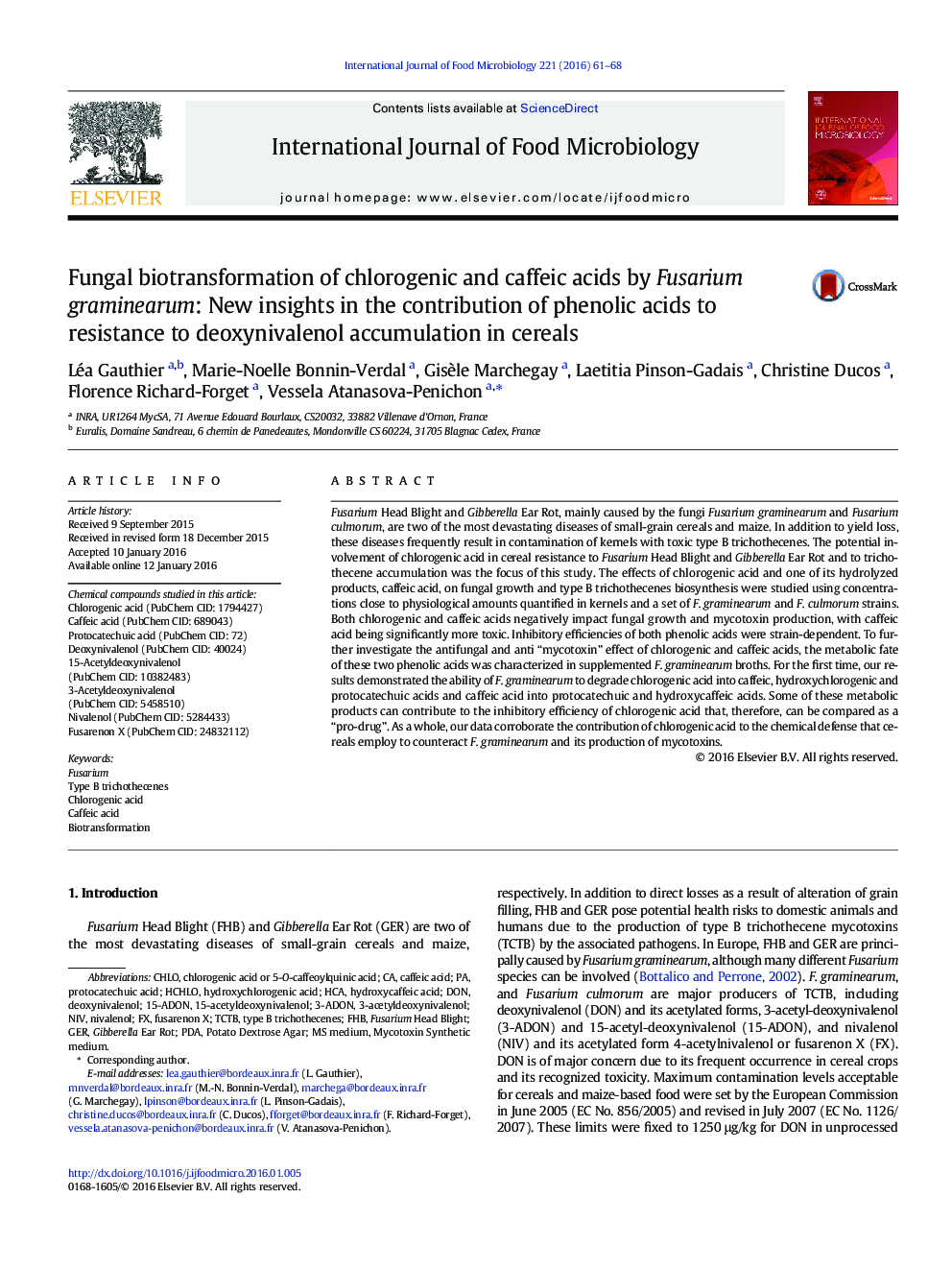 Fungal biotransformation of chlorogenic and caffeic acids by Fusarium graminearum: New insights in the contribution of phenolic acids to resistance to deoxynivalenol accumulation in cereals