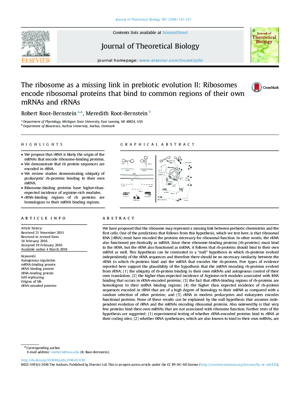 The ribosome as a missing link in prebiotic evolution II: Ribosomes encode ribosomal proteins that bind to common regions of their own mRNAs and rRNAs