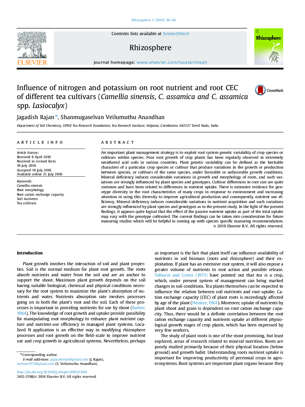 Influence of nitrogen and potassium on root nutrient and root CEC of different tea cultivars (Camellia sinensis, C. assamica and C. assamica spp. Lasiocalyx)