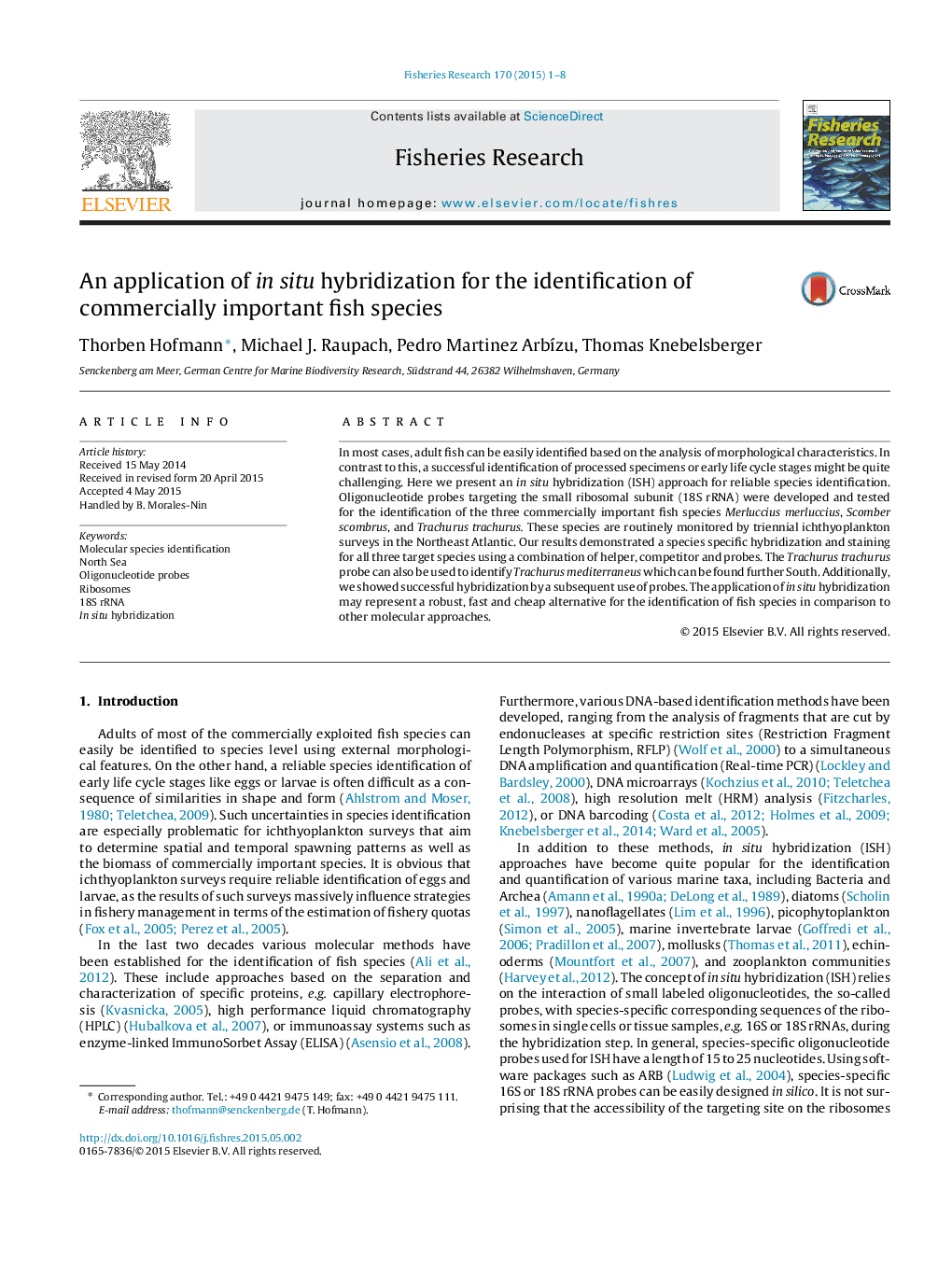 An application of in situ hybridization for the identification of commercially important fish species