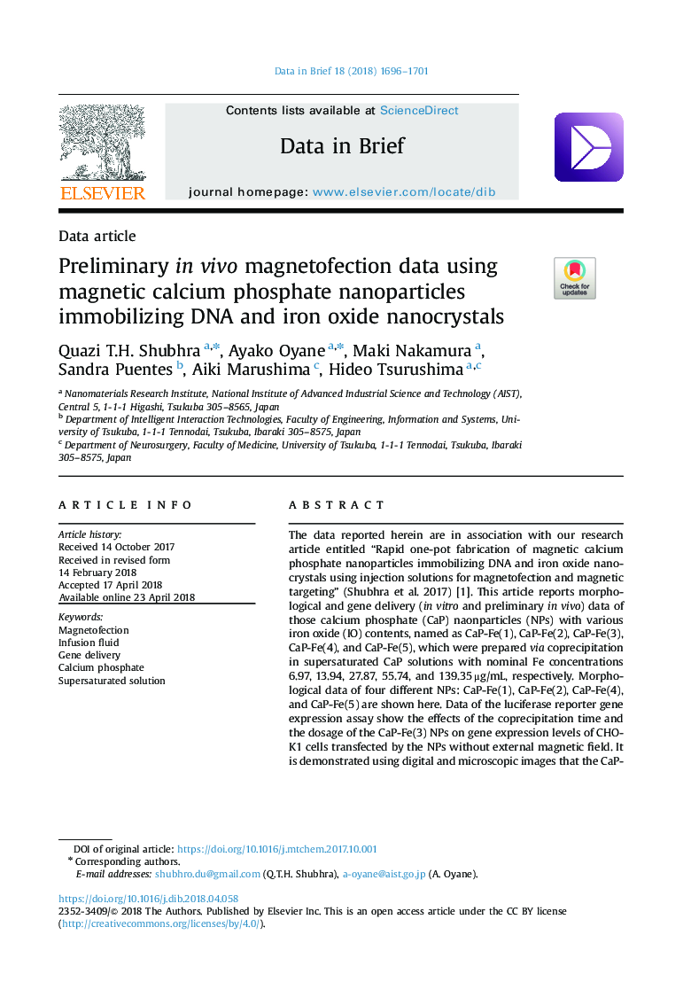 Preliminary in vivo magnetofection data using magnetic calcium phosphate nanoparticles immobilizing DNA and iron oxide nanocrystals
