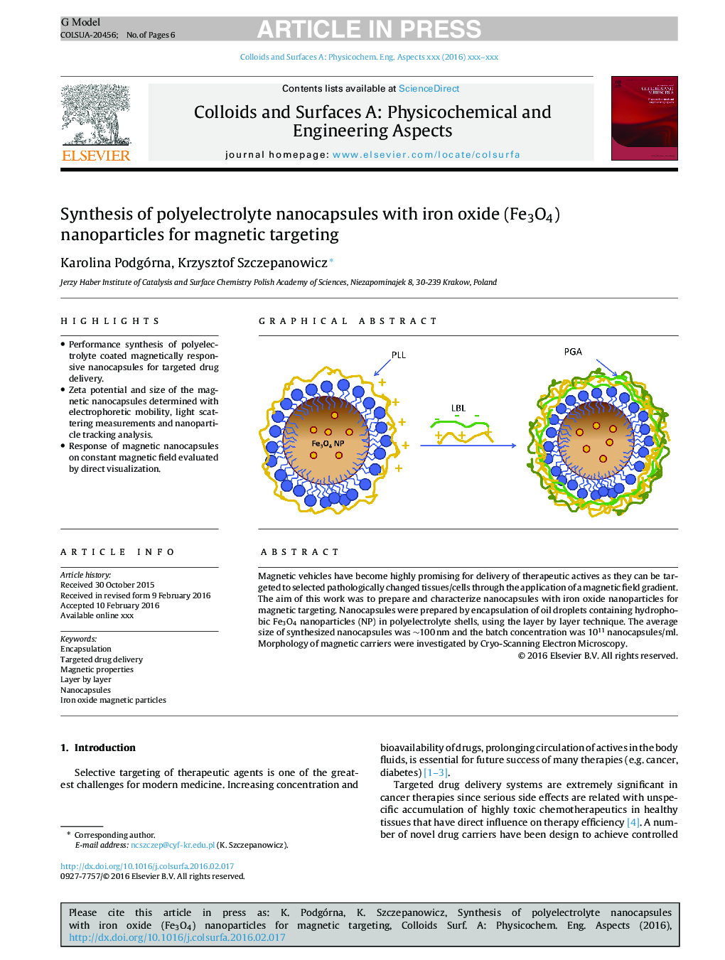 Synthesis of polyelectrolyte nanocapsules with iron oxide (Fe3O4) nanoparticles for magnetic targeting