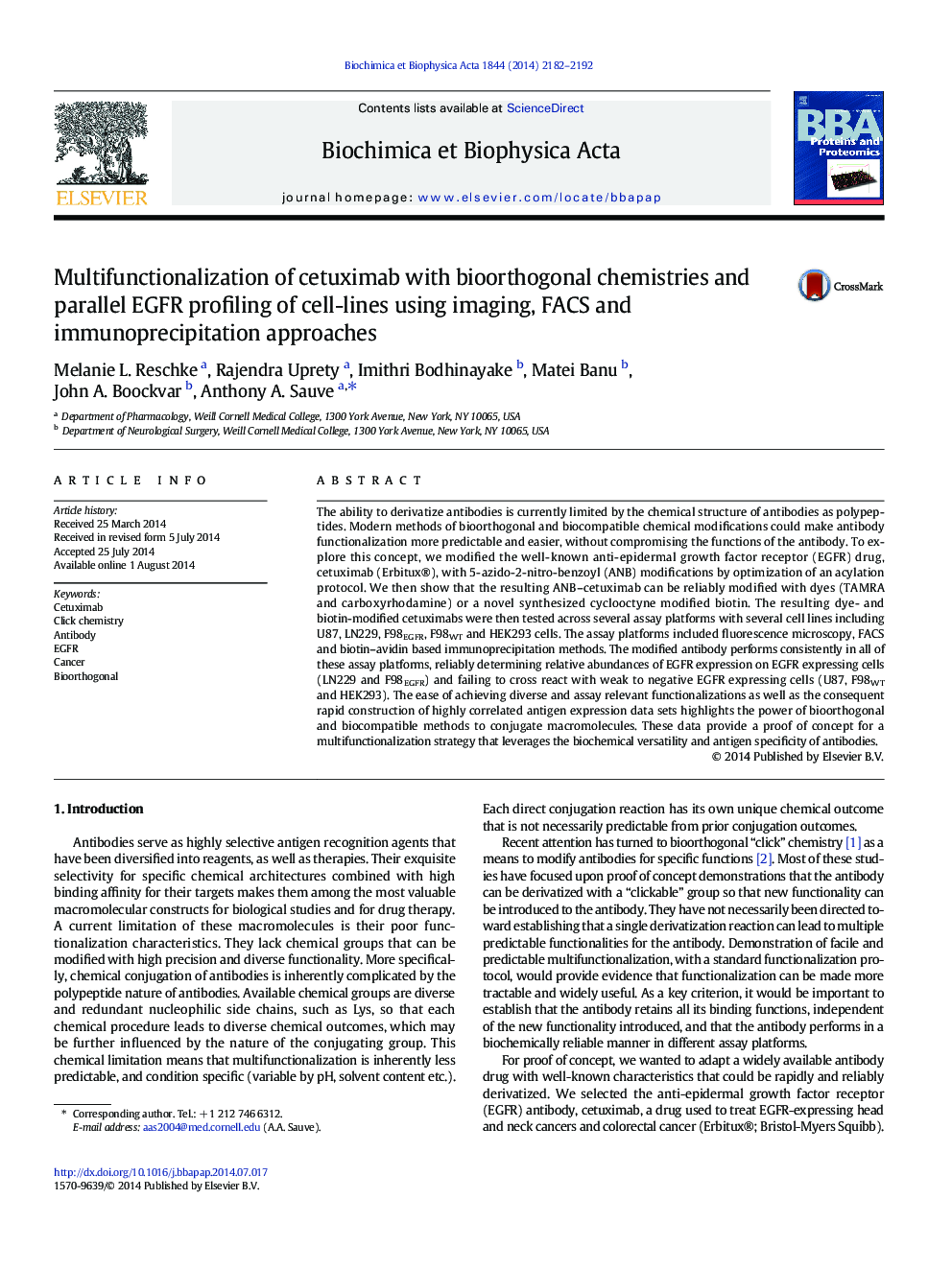 Multifunctionalization of cetuximab with bioorthogonal chemistries and parallel EGFR profiling of cell-lines using imaging, FACS and immunoprecipitation approaches