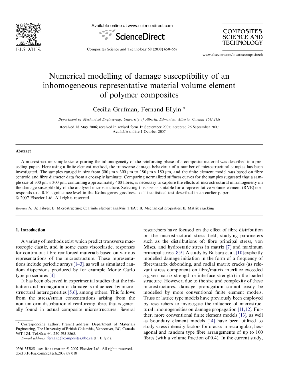 Numerical modelling of damage susceptibility of an inhomogeneous representative material volume element of polymer composites