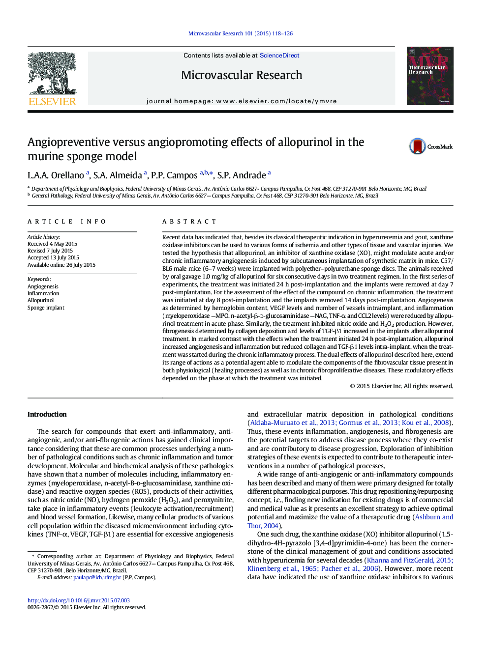 آنژیوپروتئین در برابر اثرات ضد التهابی آلوپورینول در مدل اسفنجی موش 