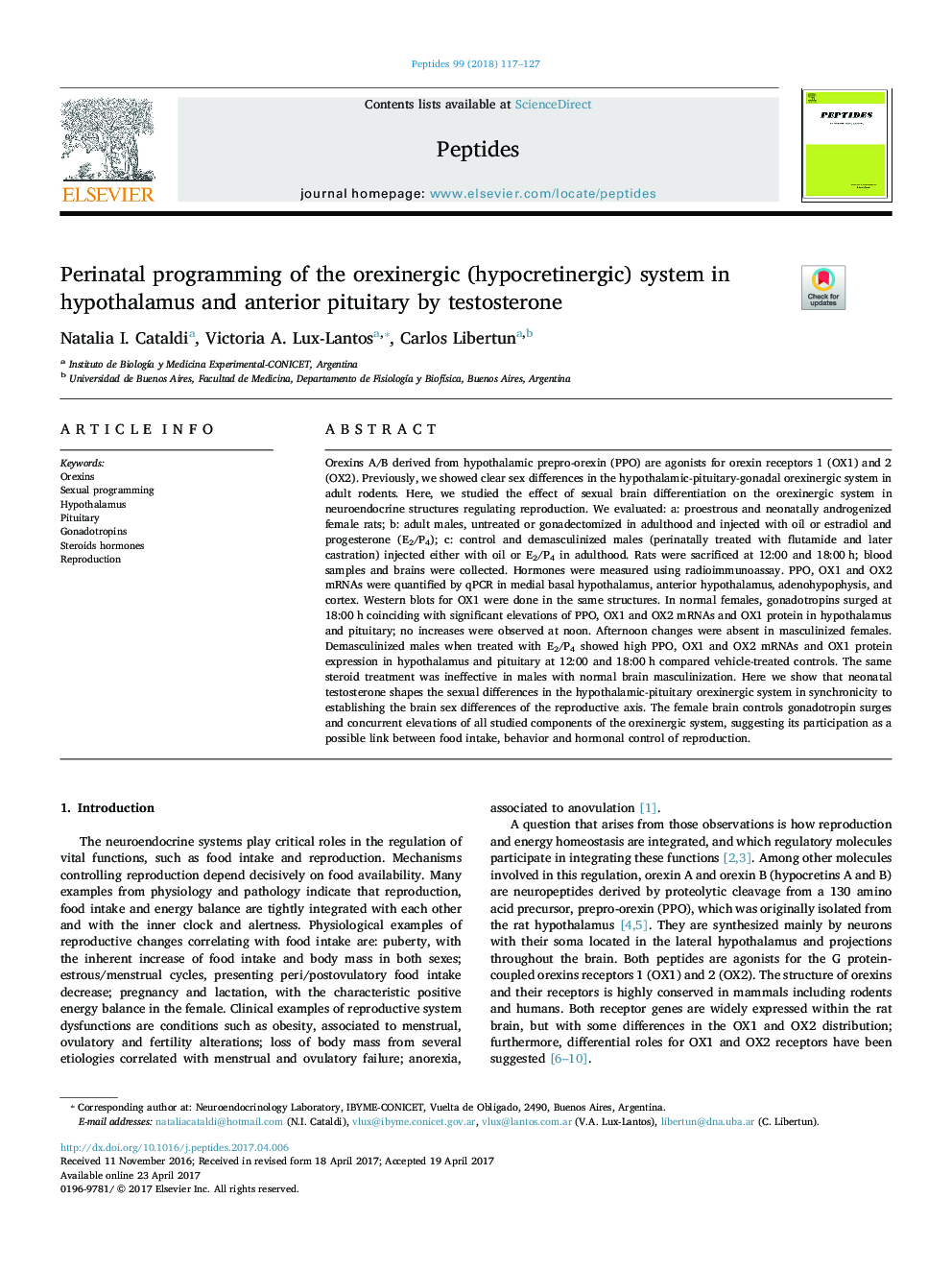Perinatal programming of the orexinergic (hypocretinergic) system in hypothalamus and anterior pituitary by testosterone