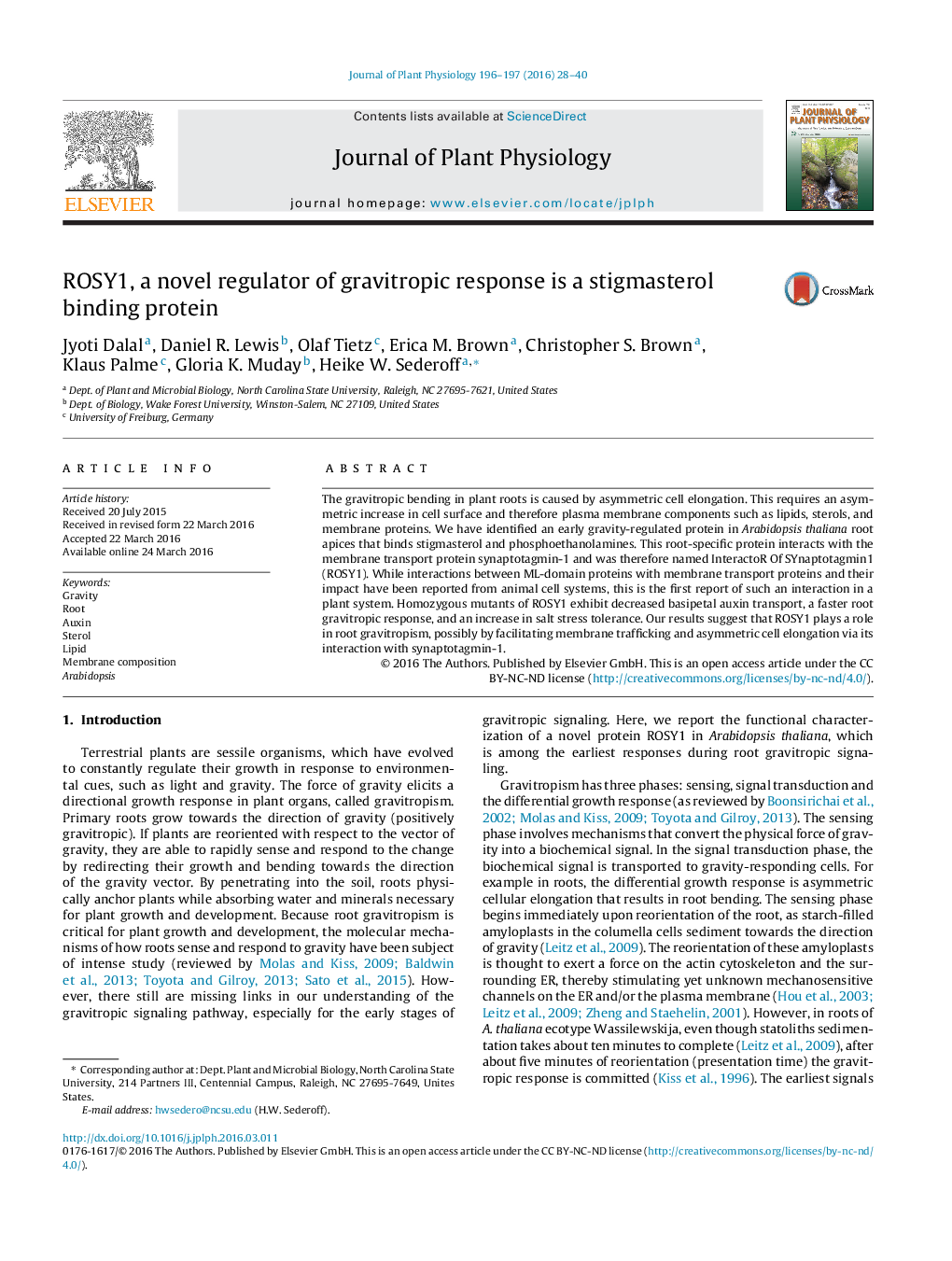 ROSY1, a novel regulator of gravitropic response is a stigmasterol binding protein