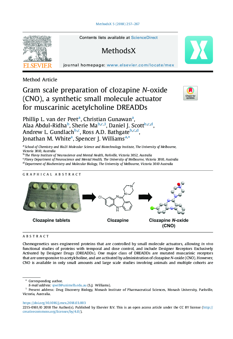 Gram scale preparation of clozapine N-oxide (CNO), a synthetic small molecule actuator for muscarinic acetylcholine DREADDs