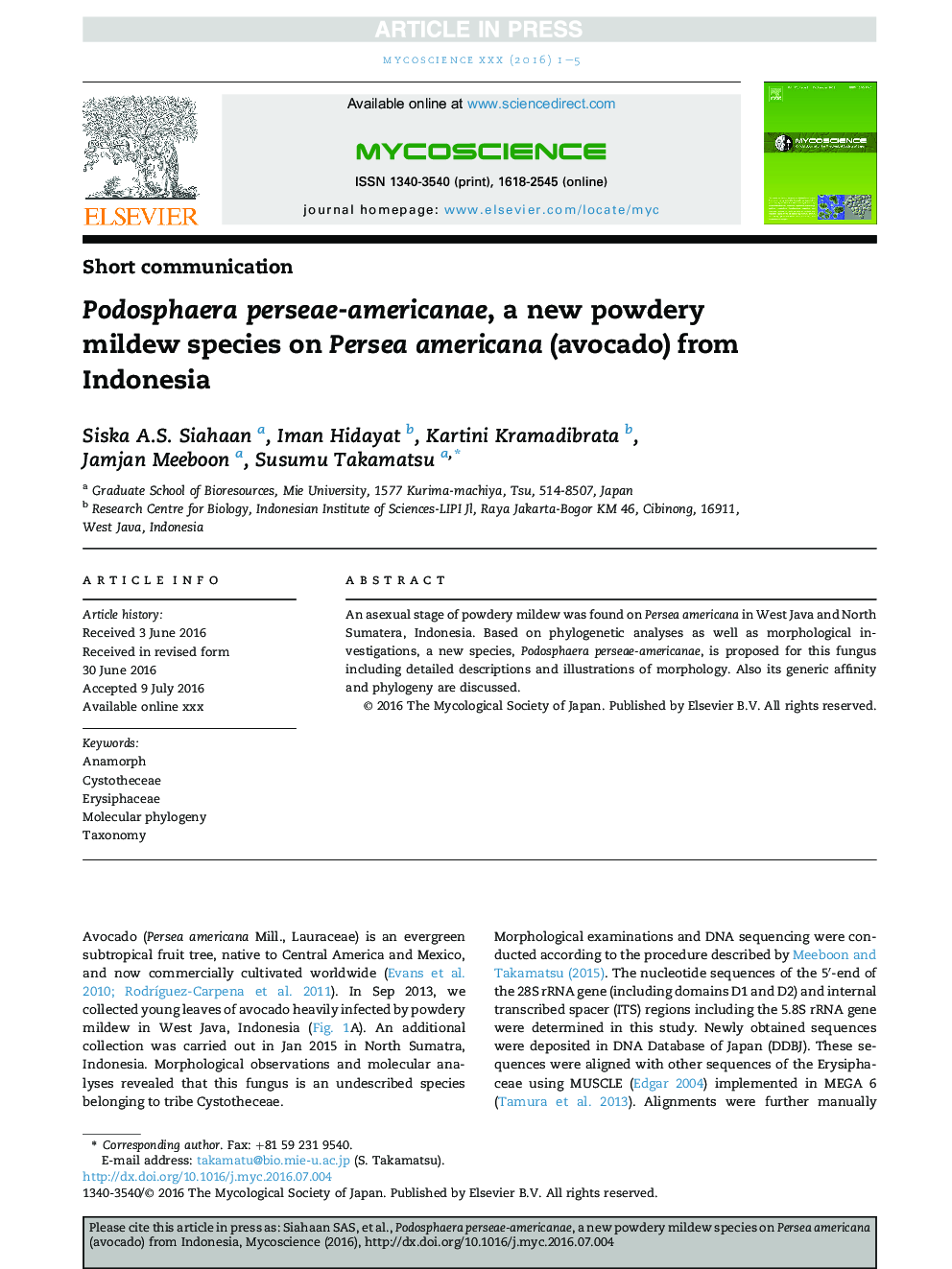 Podosphaera perseae-americanae, a new powdery mildew species on Persea americana (avocado) from Indonesia