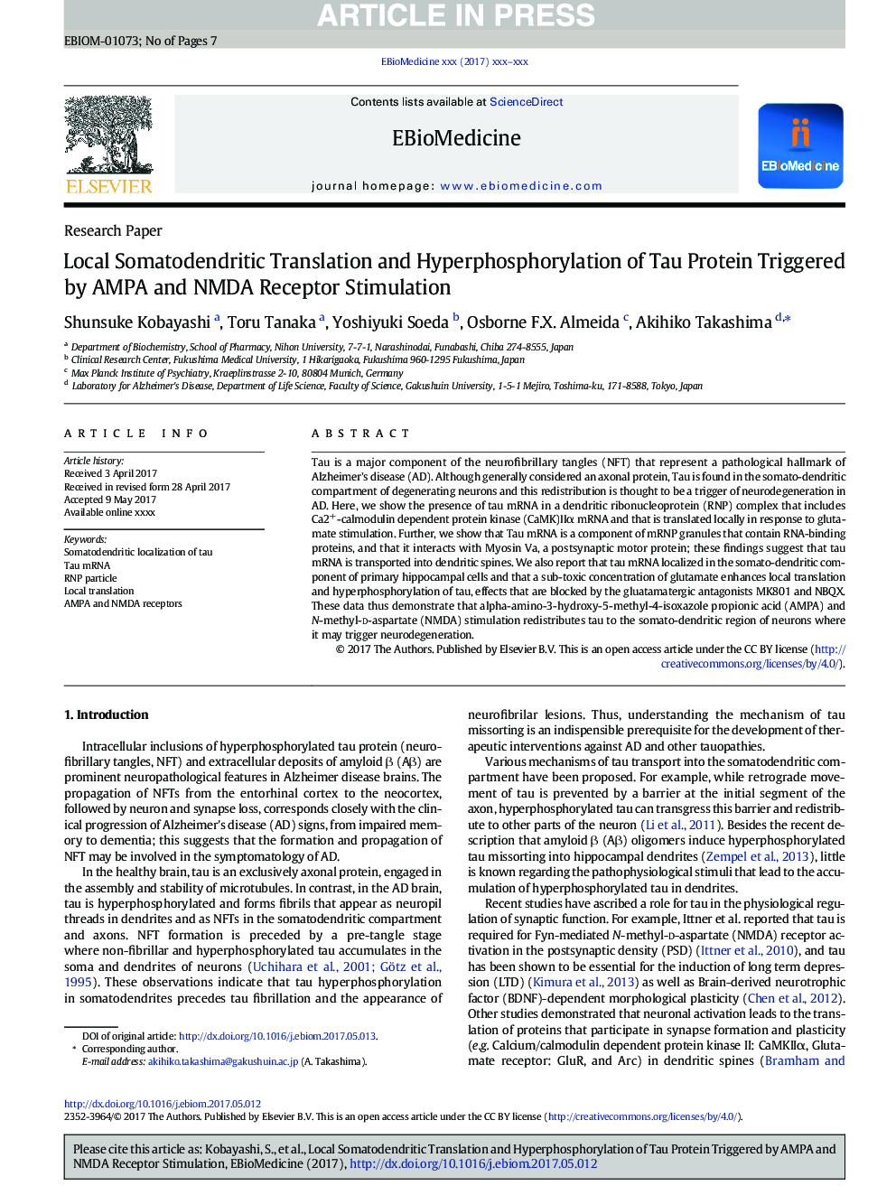 Local Somatodendritic Translation and Hyperphosphorylation of Tau Protein Triggered by AMPA and NMDA Receptor Stimulation