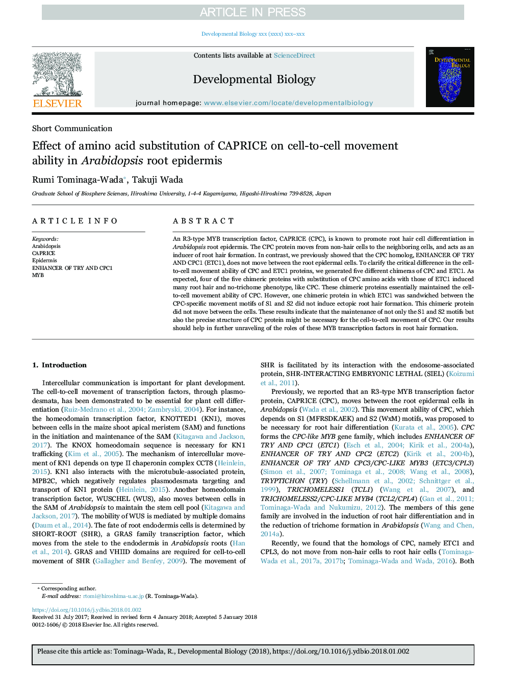 Effect of amino acid substitution of CAPRICE on cell-to-cell movement ability in Arabidopsis root epidermis