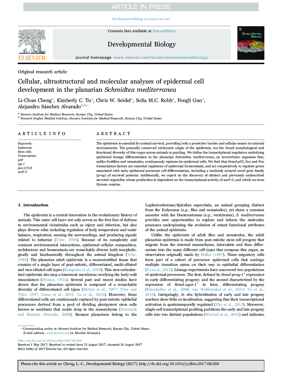 Cellular, ultrastructural and molecular analyses of epidermal cell development in the planarian Schmidtea mediterranea