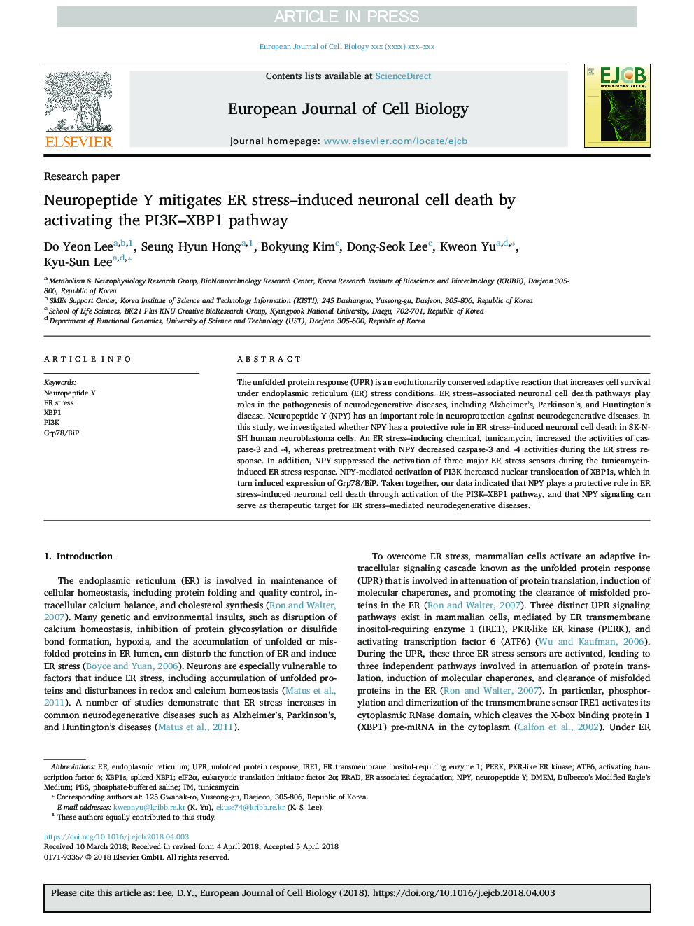 Neuropeptide Y mitigates ER stress-induced neuronal cell death by activating the PI3K-XBP1 pathway