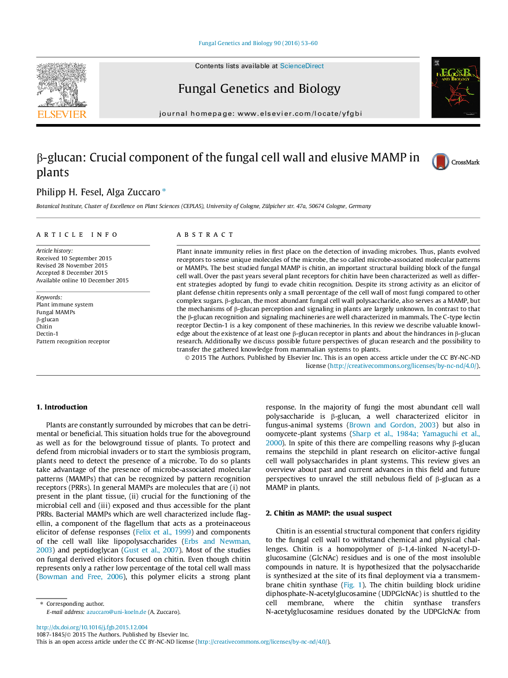 Î²-glucan: Crucial component of the fungal cell wall and elusive MAMP in plants