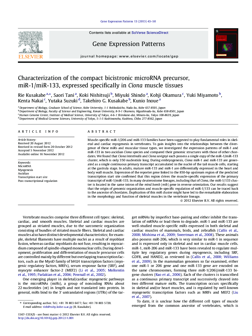 Characterization of the compact bicistronic microRNA precursor, miR-1/miR-133, expressed specifically in Ciona muscle tissues