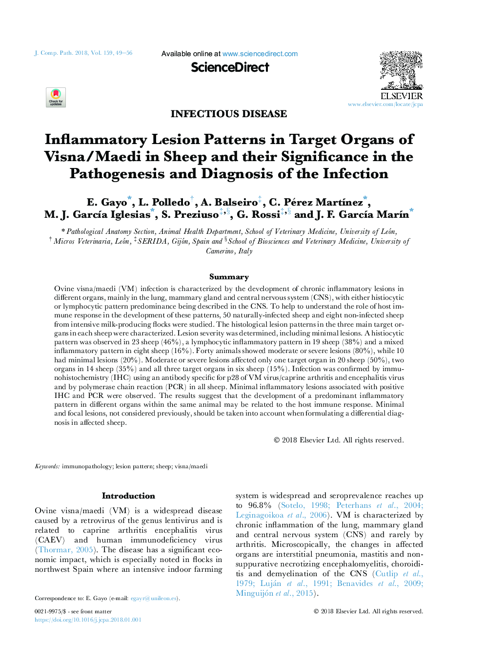 Inflammatory Lesion Patterns in Target Organs of Visna/Maedi in Sheep and their Significance in the Pathogenesis and Diagnosis of the Infection