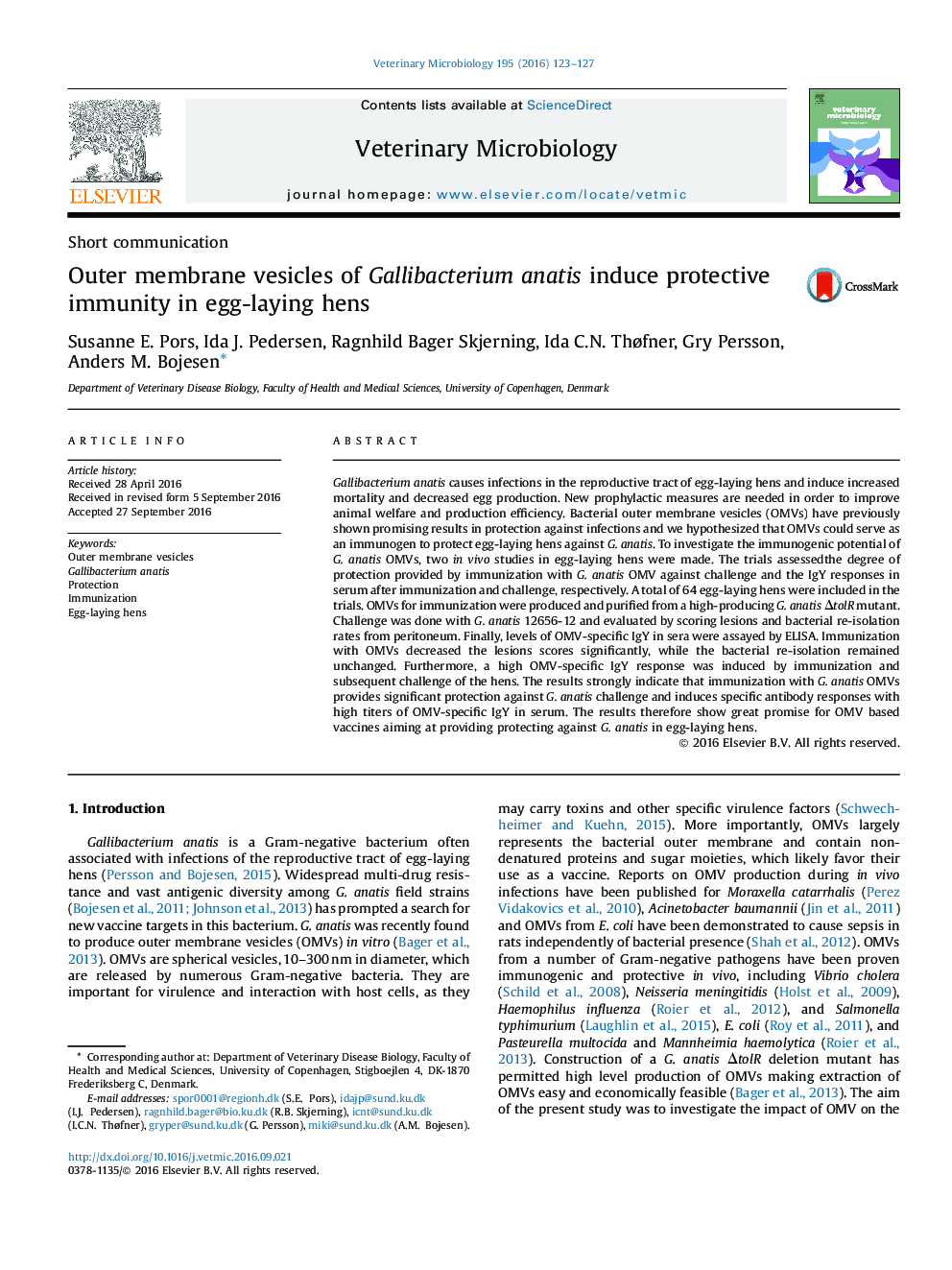 Outer membrane vesicles of Gallibacterium anatis induce protective immunity in egg-laying hens