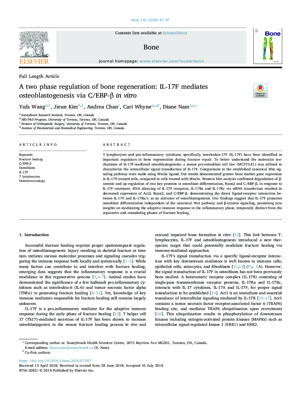 A two phase regulation of bone regeneration: IL-17F mediates osteoblastogenesis via C/EBP-Î² in vitro