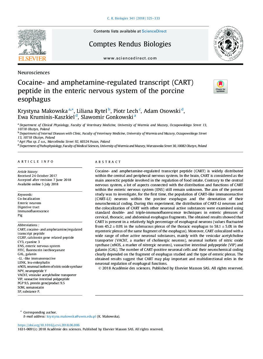 Cocaine- and amphetamine-regulated transcript (CART) peptide in the enteric nervous system of the porcine esophagus