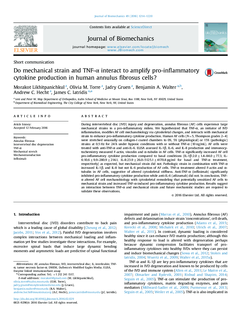 Do mechanical strain and TNF-α interact to amplify pro-inflammatory cytokine production in human annulus fibrosus cells?