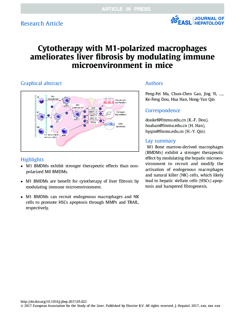 Cytotherapy with M1-polarized macrophages ameliorates liver fibrosis by modulating immune microenvironment in mice