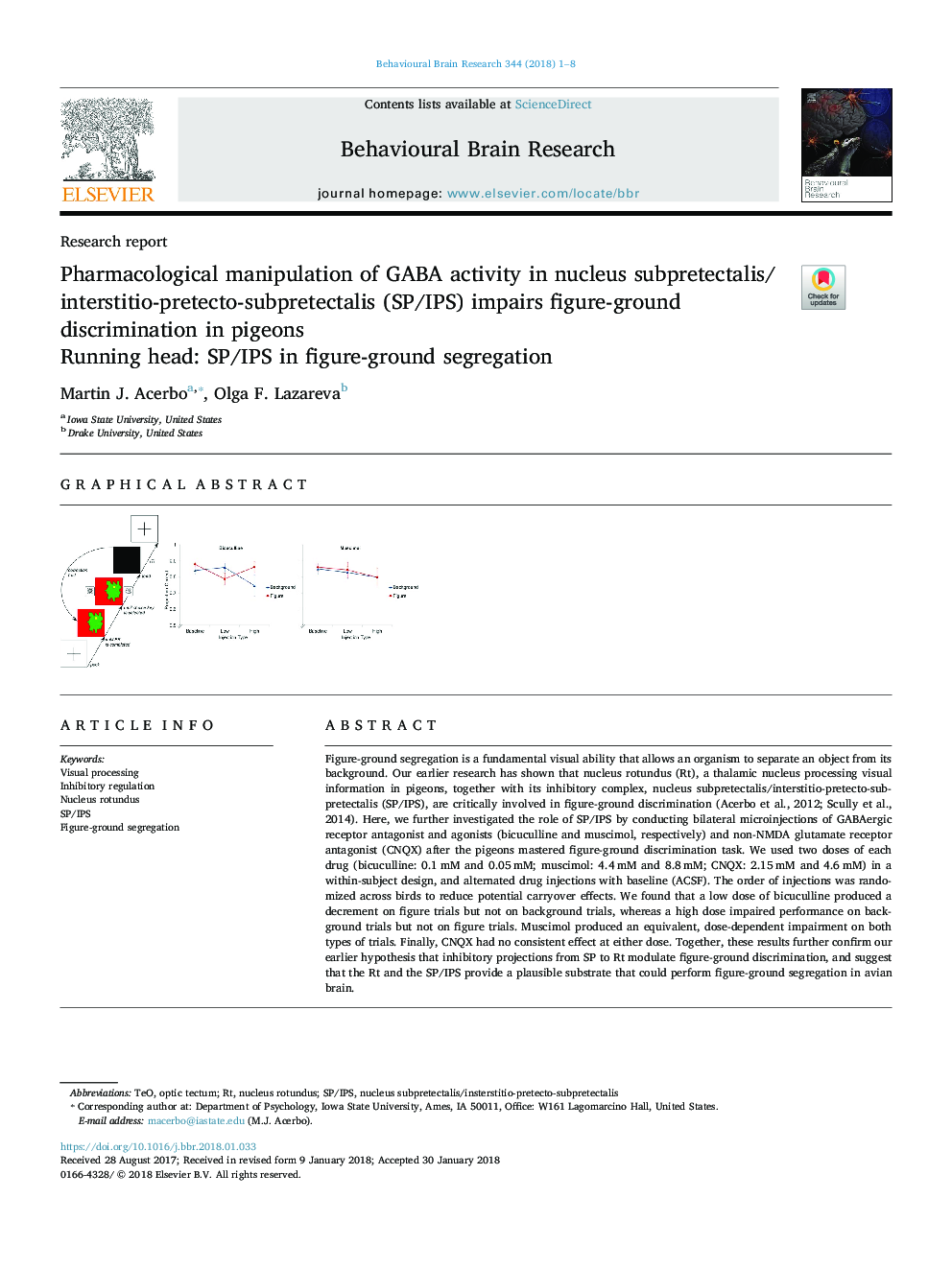 Pharmacological manipulation of GABA activity in nucleus subpretectalis/interstitio-pretecto-subpretectalis (SP/IPS) impairs figure-ground discrimination in pigeons