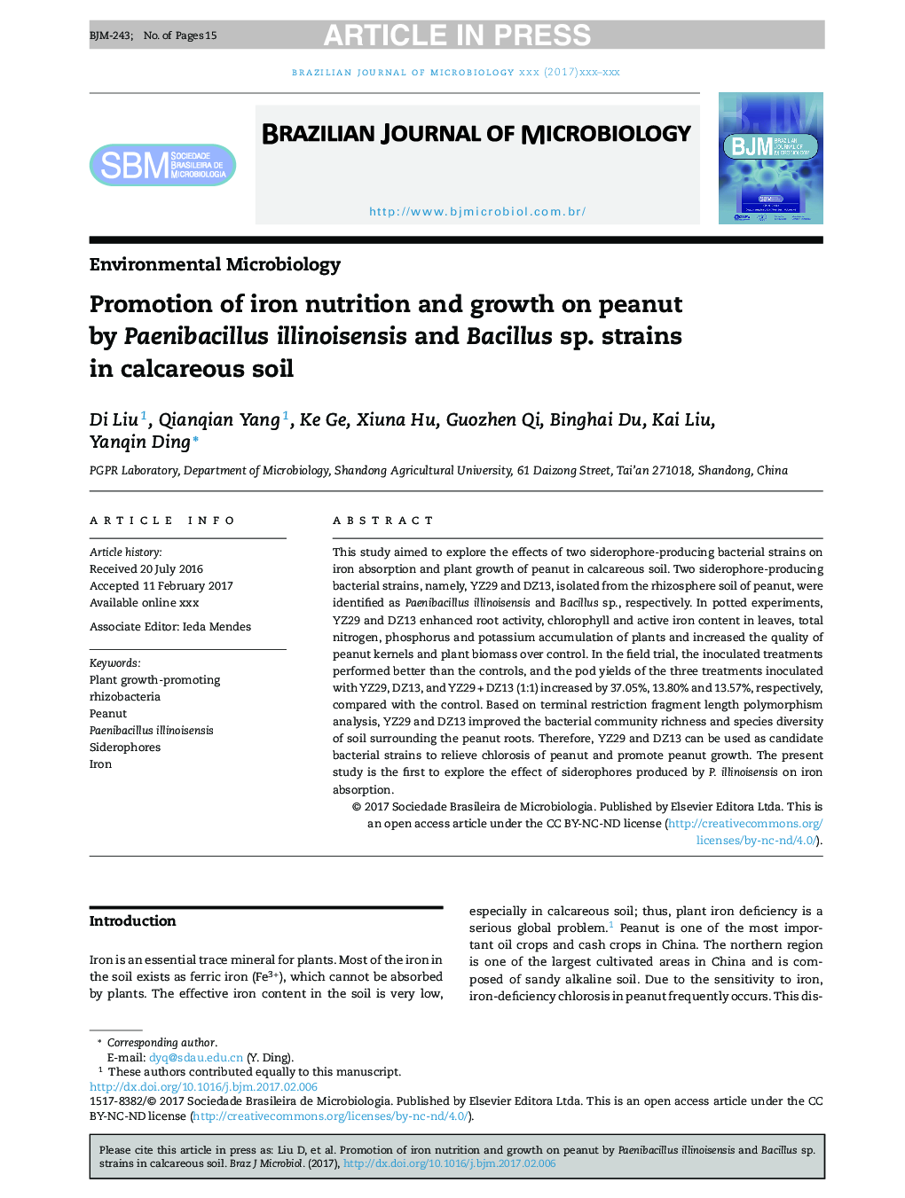 Promotion of iron nutrition and growth on peanut by Paenibacillus illinoisensis and Bacillus sp. strains in calcareous soil