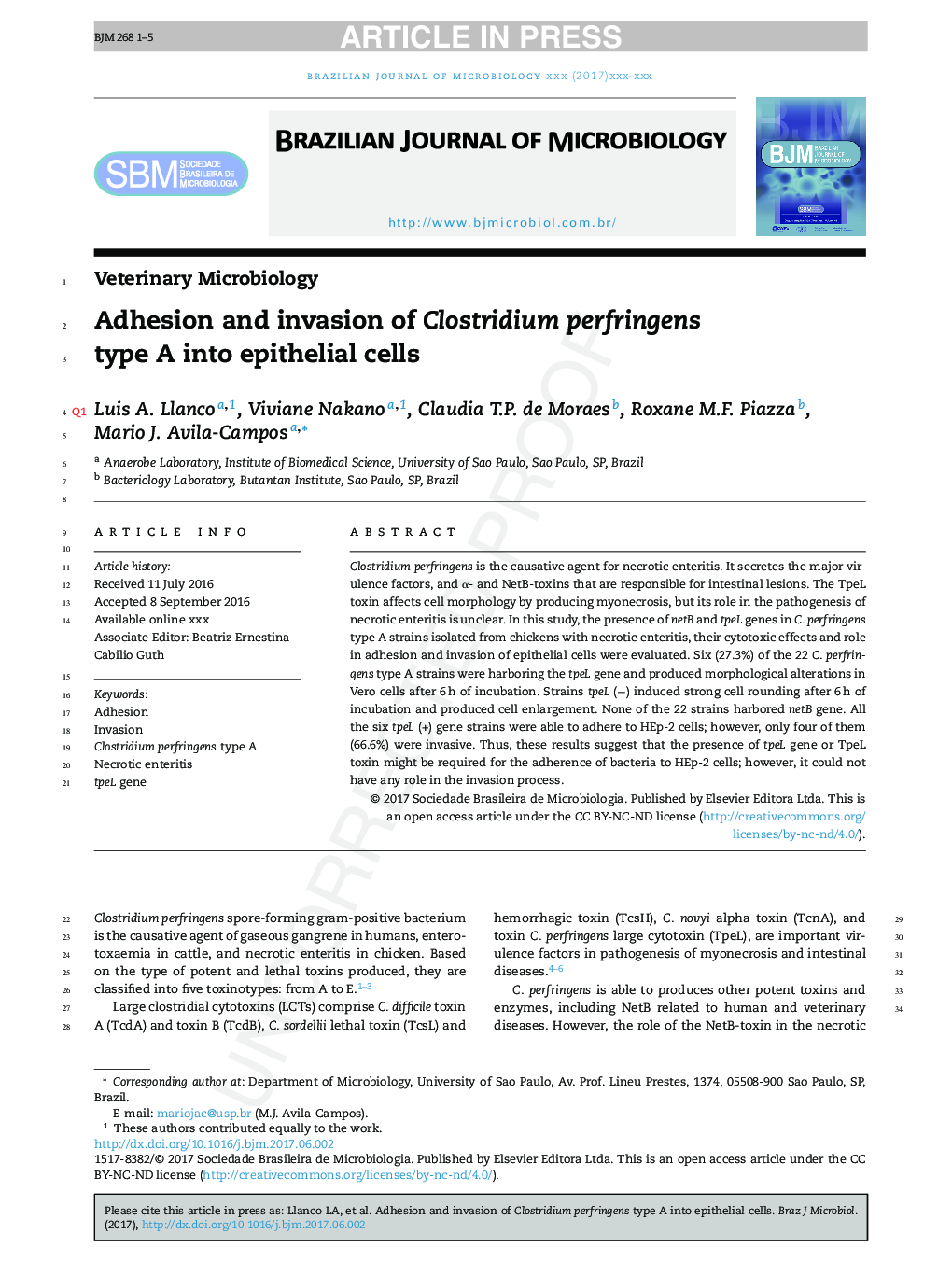 Adhesion and invasion of Clostridium perfringens type A into epithelial cells