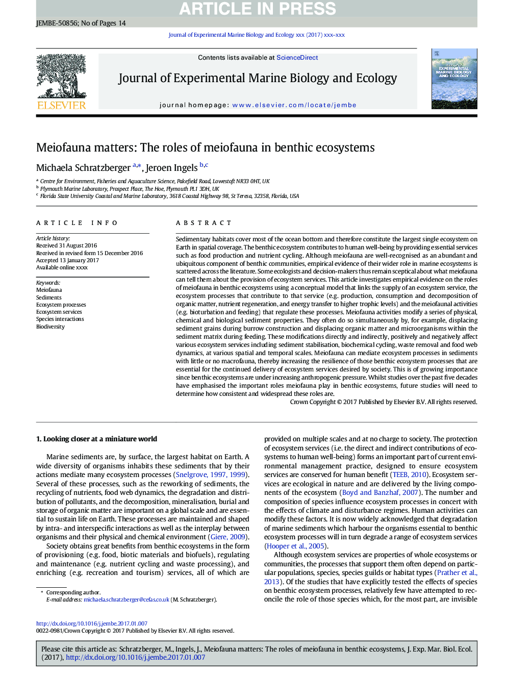 Meiofauna matters: The roles of meiofauna in benthic ecosystems
