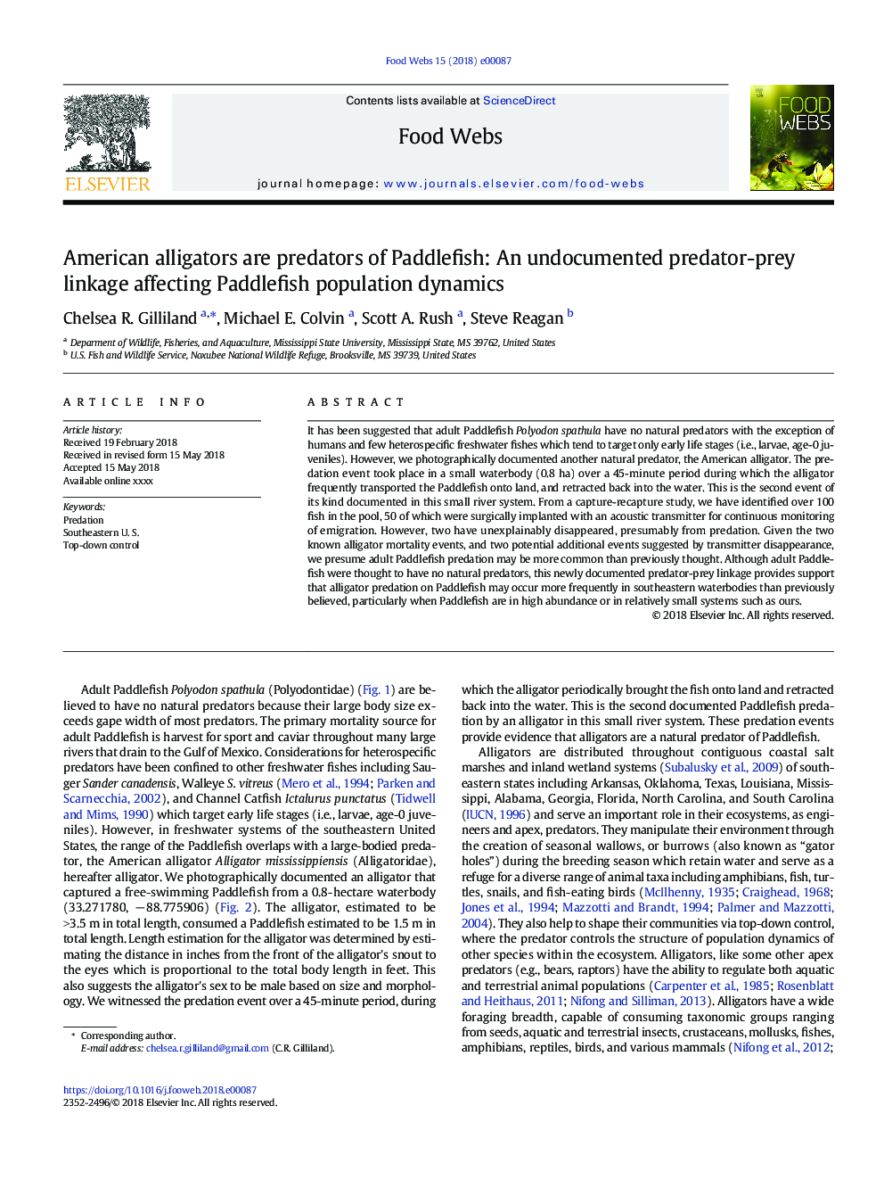 American alligators are predators of Paddlefish: An undocumented predator-prey linkage affecting Paddlefish population dynamics