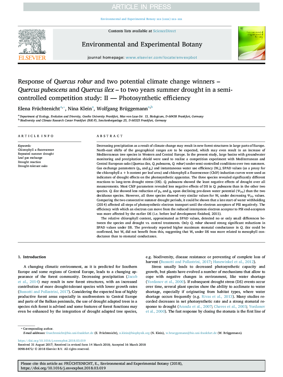 Response of Quercus robur and two potential climate change winners - Quercus pubescens and Quercus ilex - to two years summer drought in a semi-controlled competition study: II - Photosynthetic efficiency