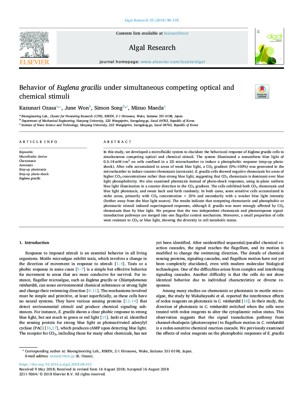 Behavior of Euglena gracilis under simultaneous competing optical and chemical stimuli