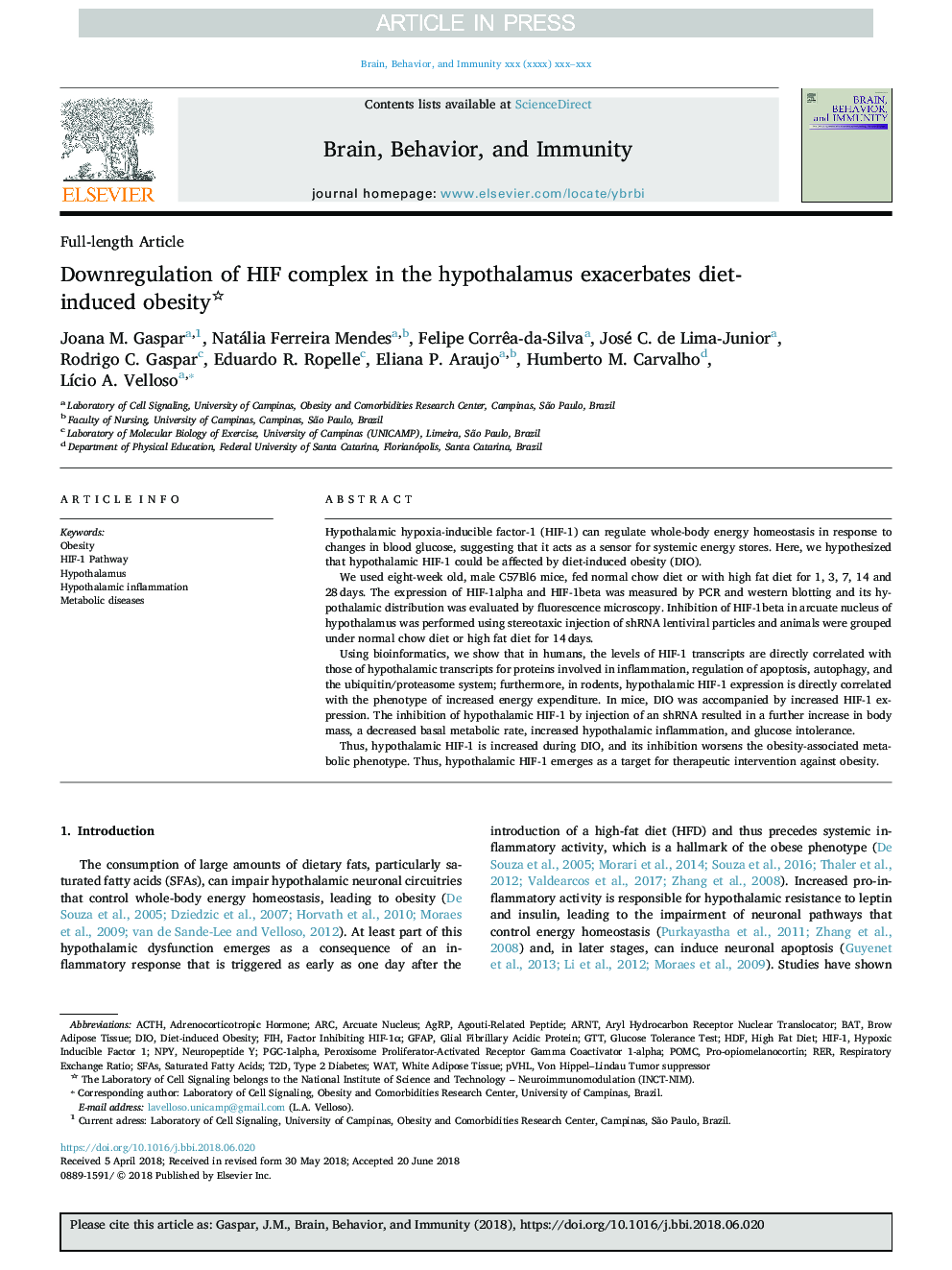 Downregulation of HIF complex in the hypothalamus exacerbates diet-induced obesity