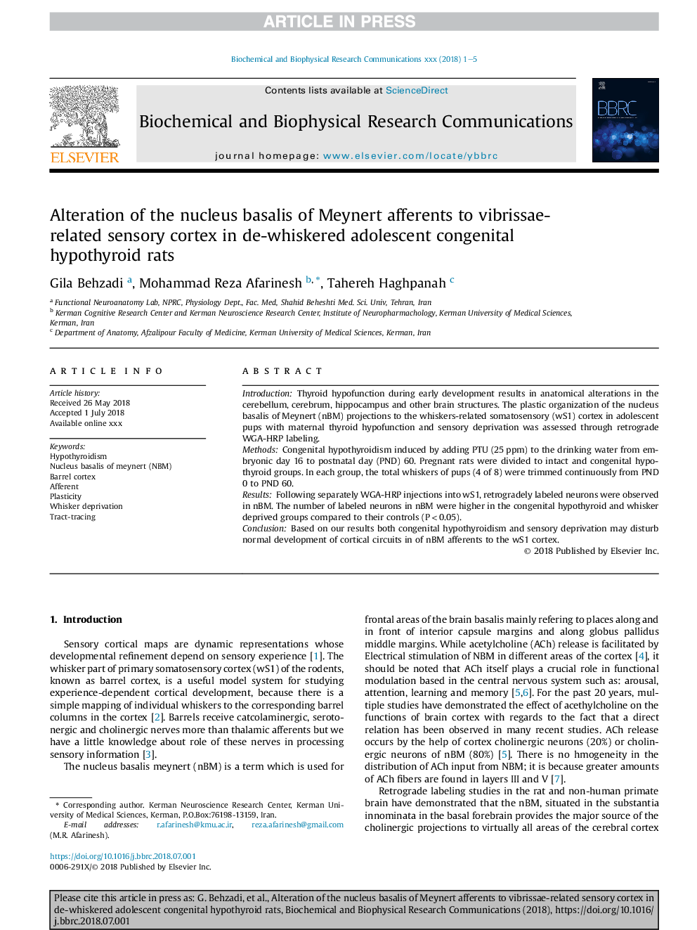 Alteration of the nucleus basalis of Meynert afferents to vibrissae-related sensory cortex in de-whiskered adolescent congenital hypothyroid rats