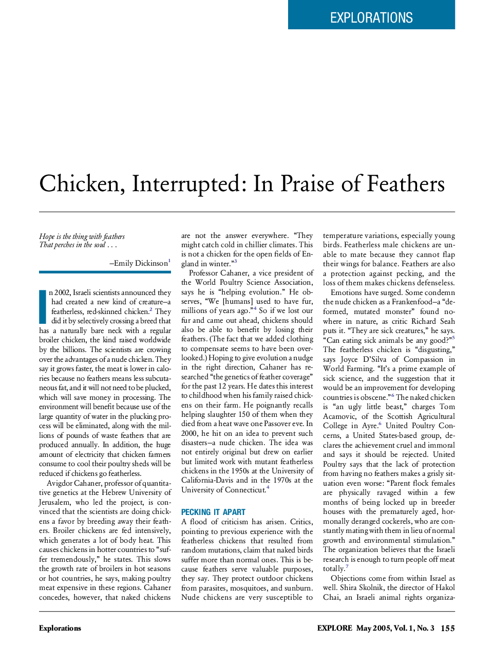Chicken, Interrupted: In Praise of Feathers