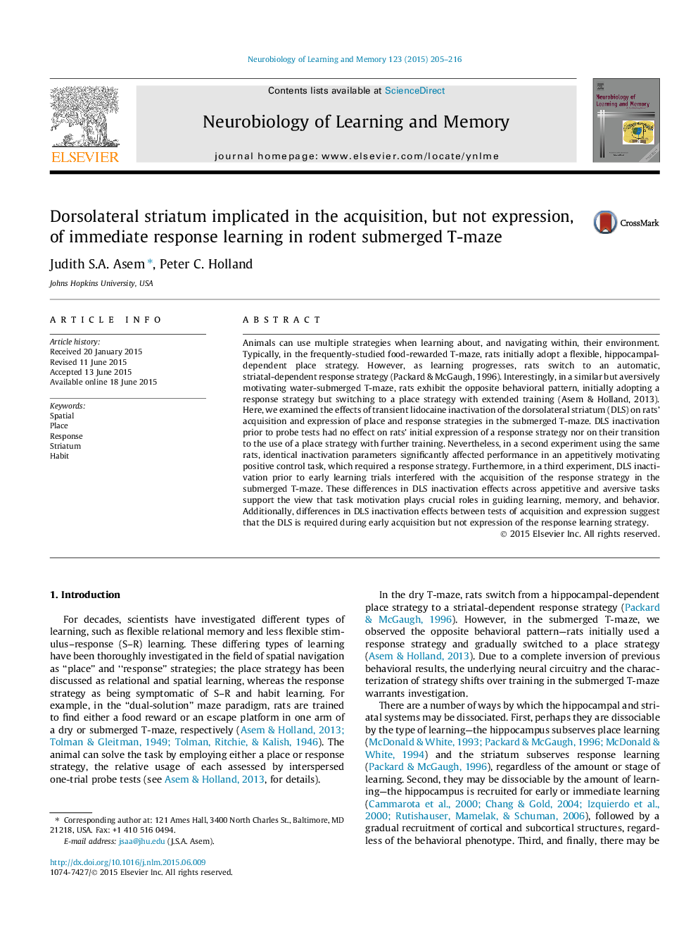 Dorsolateral striatum implicated in the acquisition, but not expression, of immediate response learning in rodent submerged T-maze