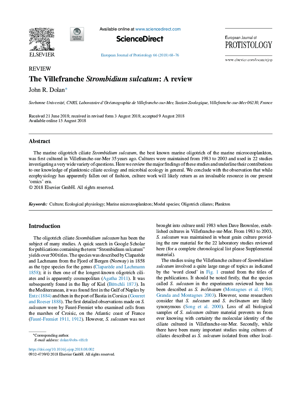 The Villefranche Strombidium sulcatum: A review
