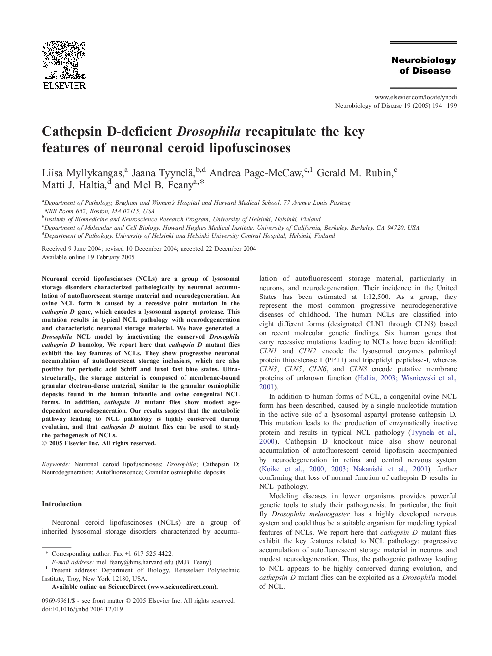 Cathepsin D-deficient Drosophila recapitulate the key features of neuronal ceroid lipofuscinoses